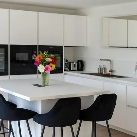 别墅 Grande Maison Design 10 Personnes 南锡