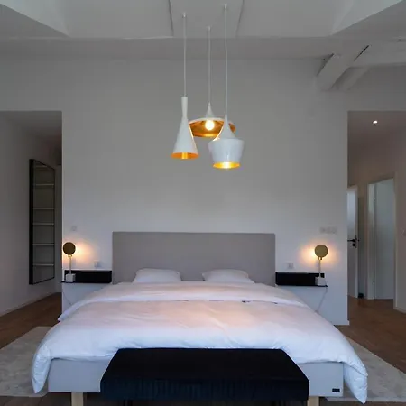 Grande Maison Design 10 Personnes 别墅 *